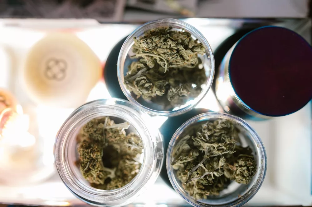 Unpacking Liberty Health Sciences: A Deep Dive into Florida's Medical Cannabis Landscape